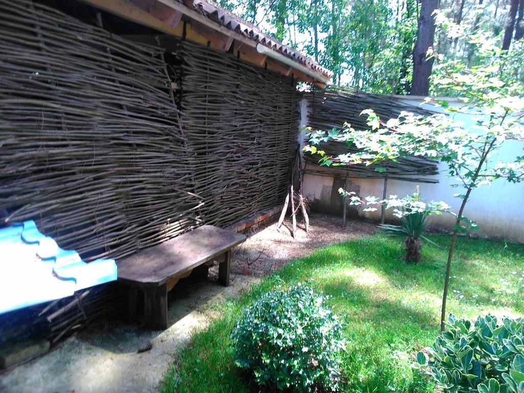 Kolkhida Resort&Spa Ureki Bagian luar foto